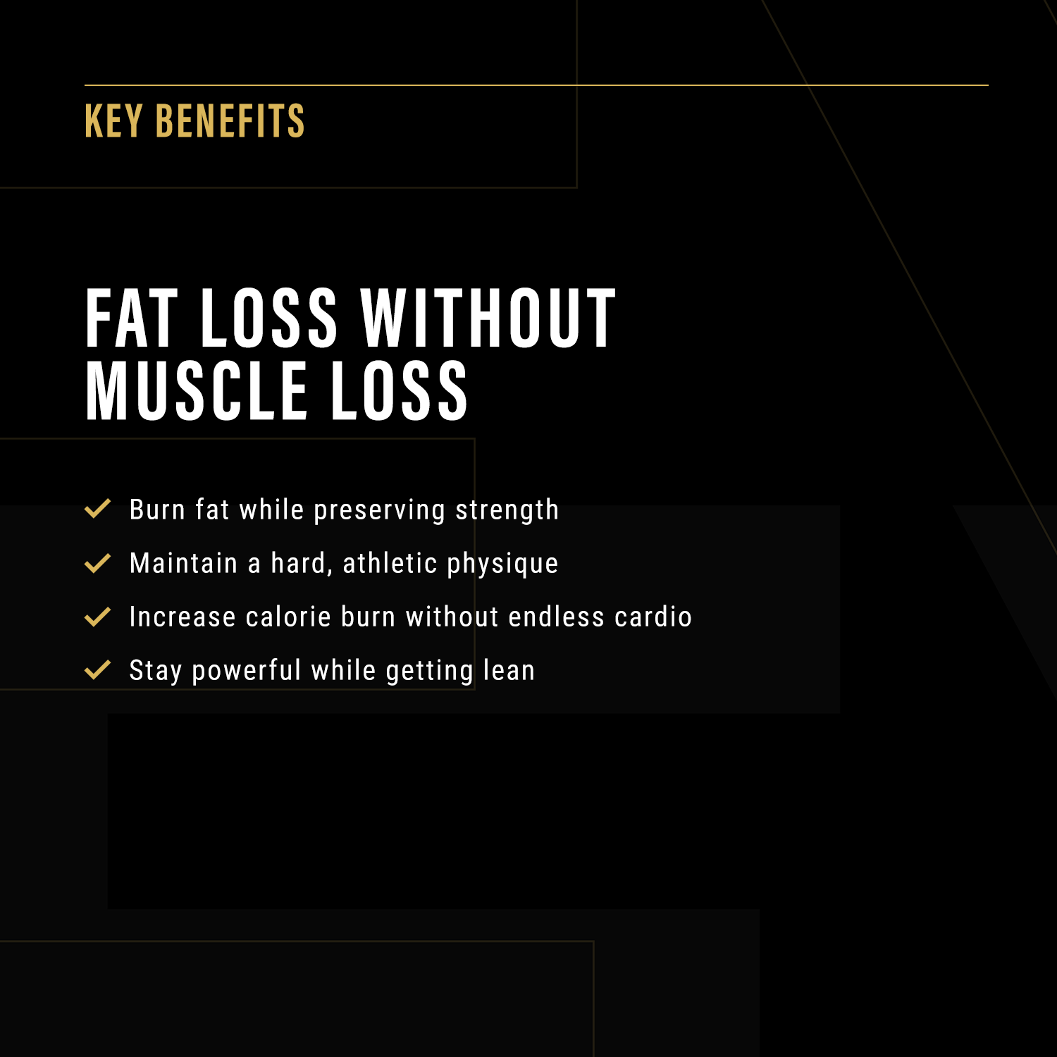 The 6-weeks Muscle Fat Loss Program