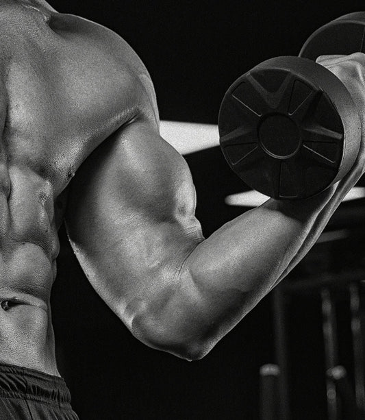 Muscle endurance