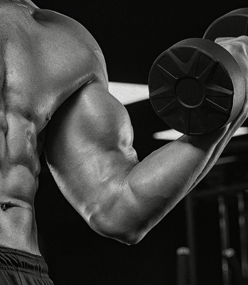 Muscle endurance
