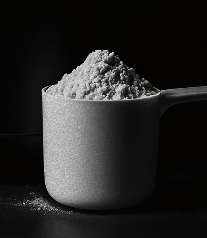 Protein