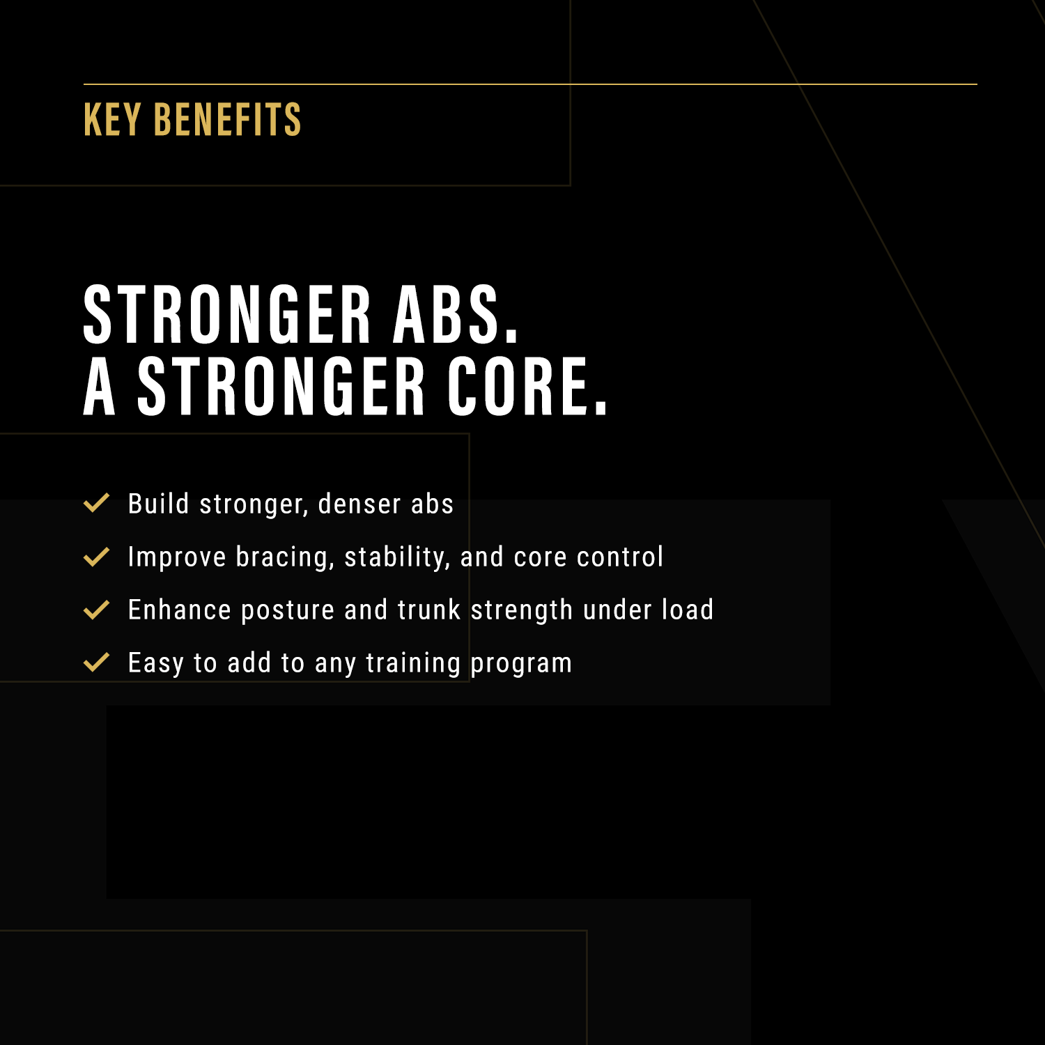 The Ultimate ABS add-on program